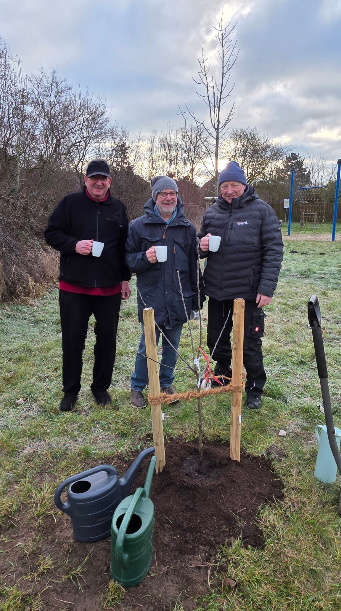 Baum Pflanzen Gruppe